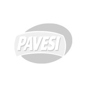 Pavesi